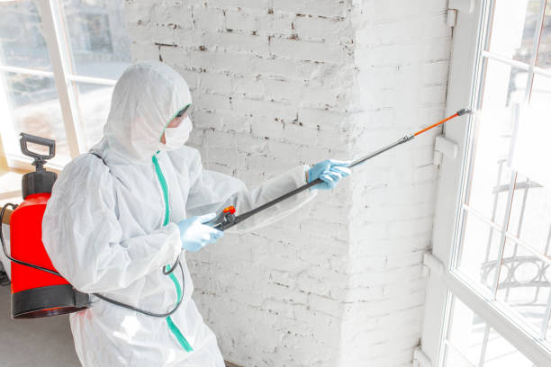 Why You Should Choose Our Mold Remediation Services in Zumbrota, MN